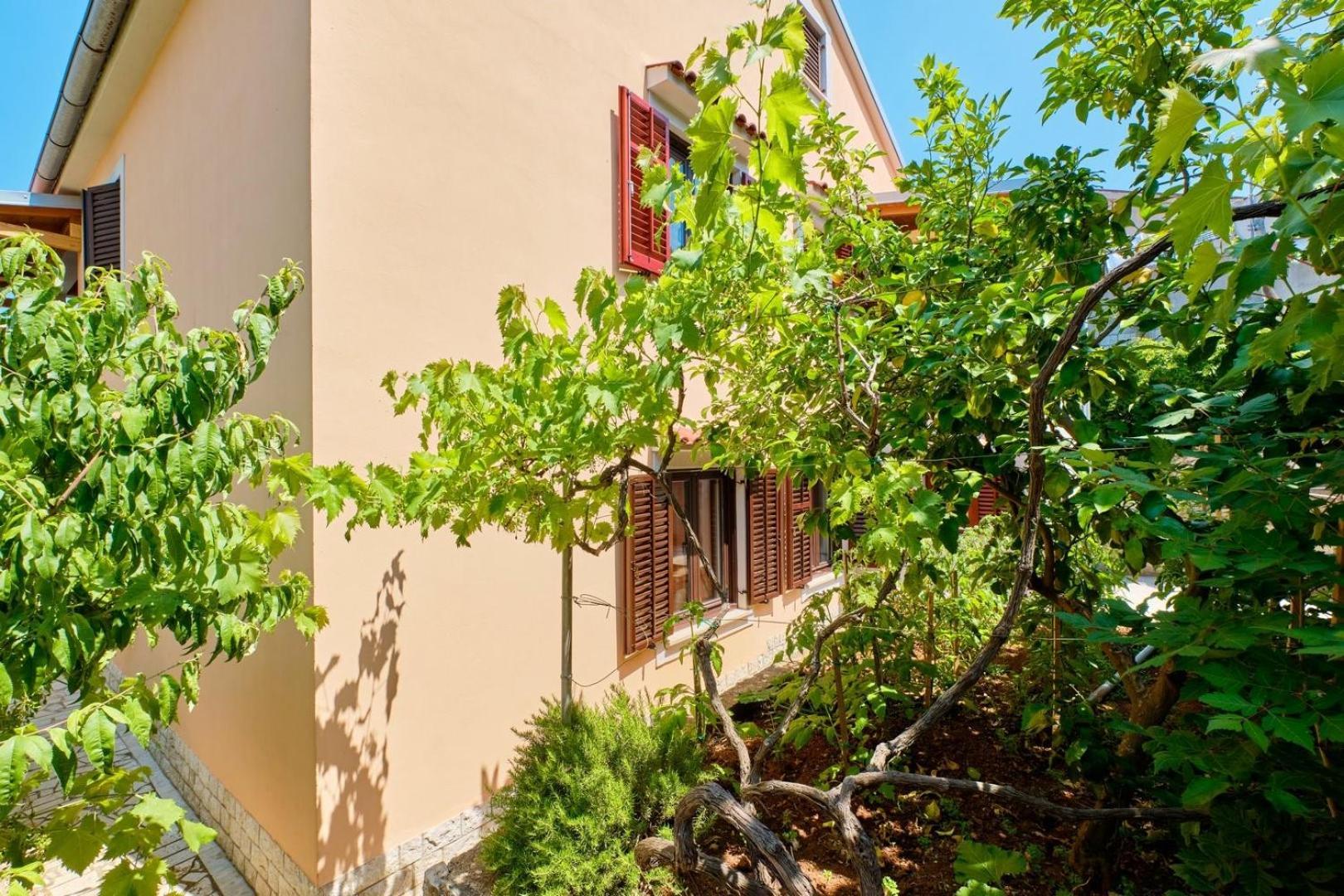 Apartments Ady Mali Lošinj Eksteriør billede